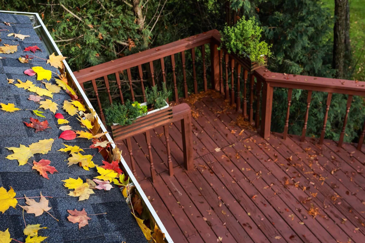 Maintained deck in Raleigh in the fall